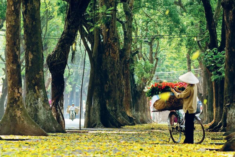 Mùa thu Hà Nội buồn và đẹp đến nao lòng